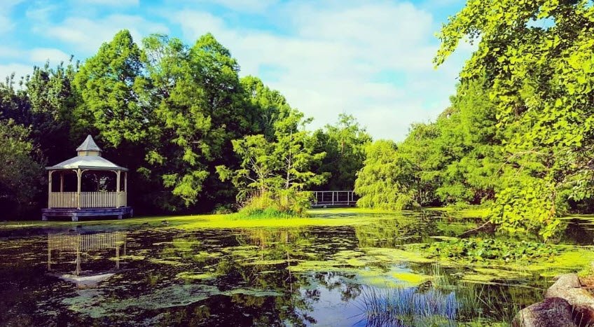 Penshurst Botanic Gardens, Australia